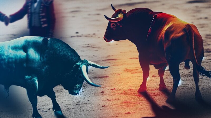 Touradas em Portugal: tradição ou crueldade?